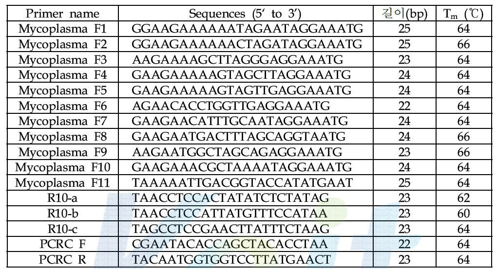 64종 mycoplasma의 16S rRNA 검출을 위한 primers 조합