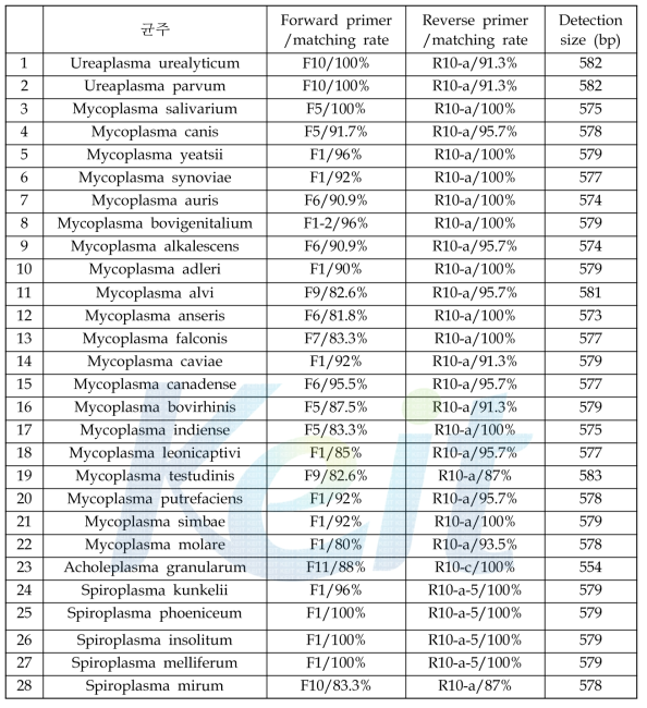 검출 가능한 28종 마이코플라즈마 균주 및 primer 조합