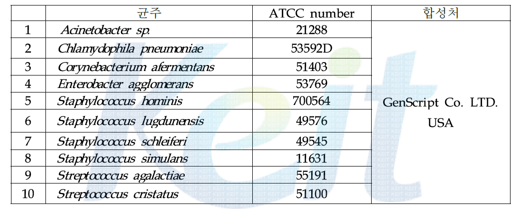 본 과제에서 사용한 16S rRNA 합성 세균주
