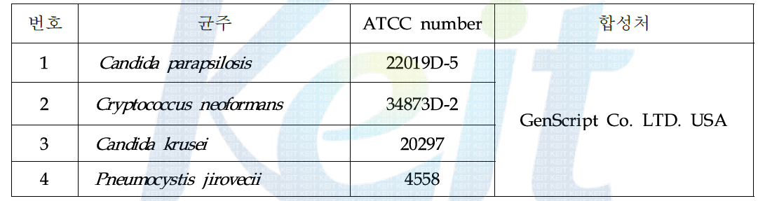 본 과제에서 사용한 18S rRNA 합성 진균주 4종