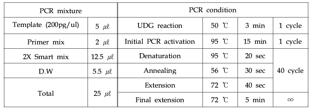 Mycoplasma 검출을 위한 conventional PCR 혼합물 조성 및 조건