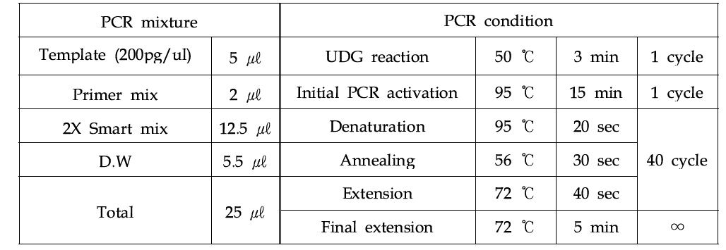 Bacteria 검출을 위한 conventional PCR 혼합물 조성 및 조건