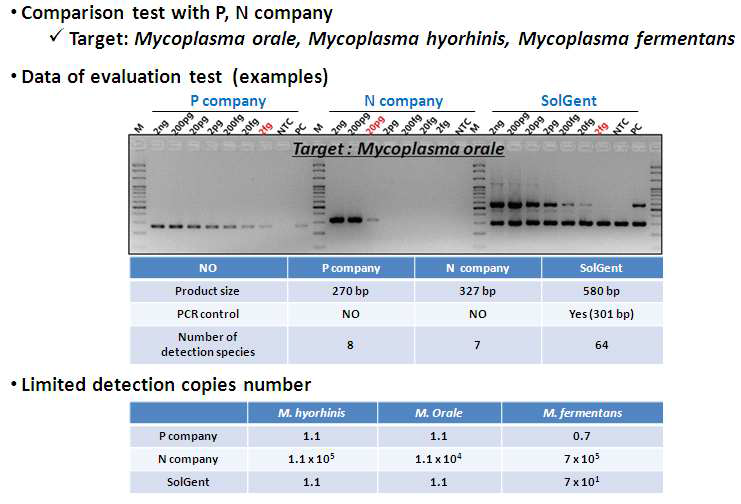 Mycoplasma conventional PCR 검출 키트의 타사제품비교 테스트