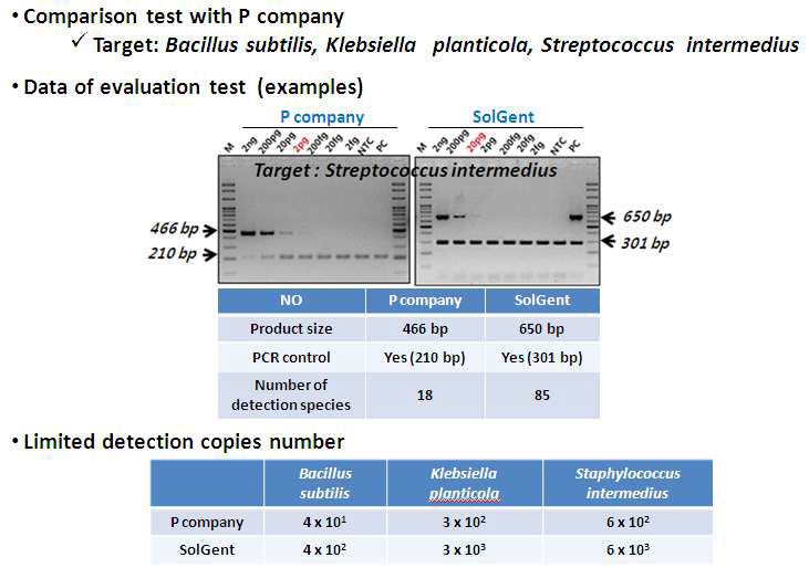 Bacteria conventional PCR 검출 키트의 타사제품비교 테스트