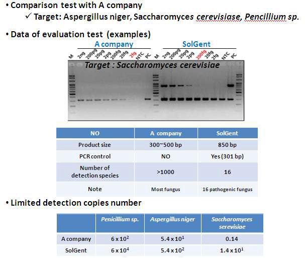 Fungi conventional PCR 검출 키트의 타사제품비교 테스트