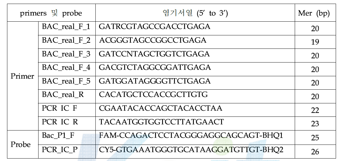 84종 bacteria의 16S rRNA 검출을 위한 primers 및 probe set