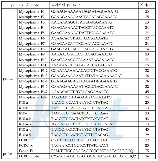 64종 mycoplasma의 16S rRNA 검출을 위한 primers및 probe set