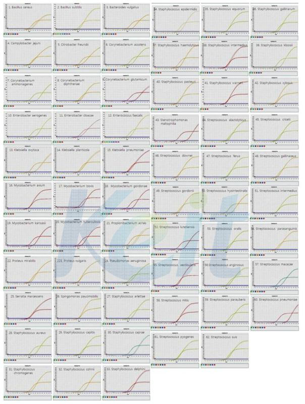 62종 Bacteria 의 real-time PCR 검출
