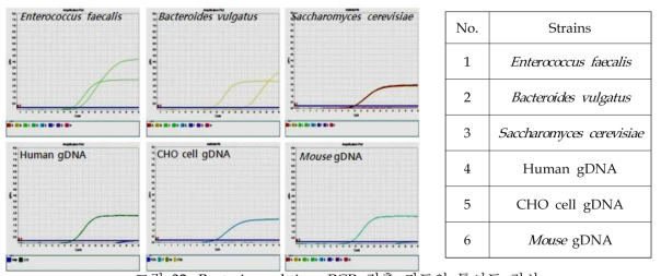 Bacteria real-time PCR 검출 키트의 특이도 검사