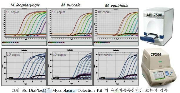 DiaPlexQ Mycoplasma Detection Kit 의 유전자증폭장치간 호환성 검증