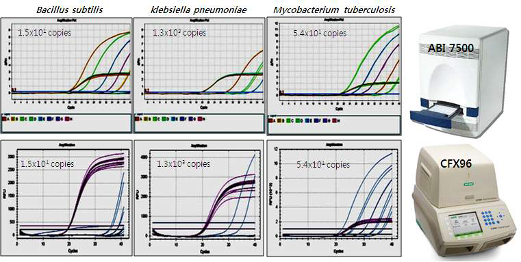 DiaPlexQ Bacteria Detection Kit 의 유전자증폭장치간 호환성 검증