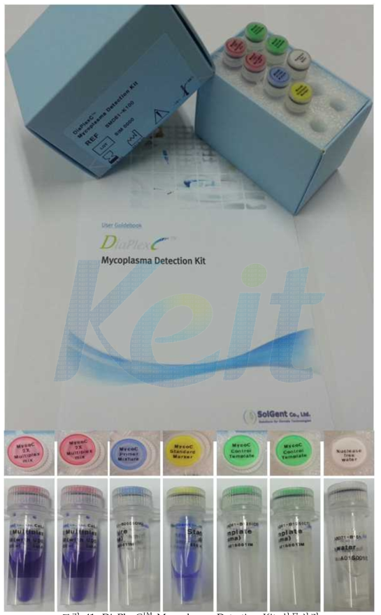 DiaPlexC Mycoplasma Detection Kit 실물사진