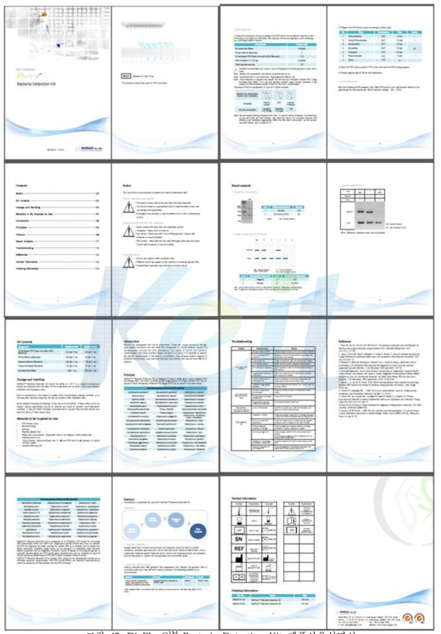 DiaPlexC Bacteria Detection Kit 제품사용설명서