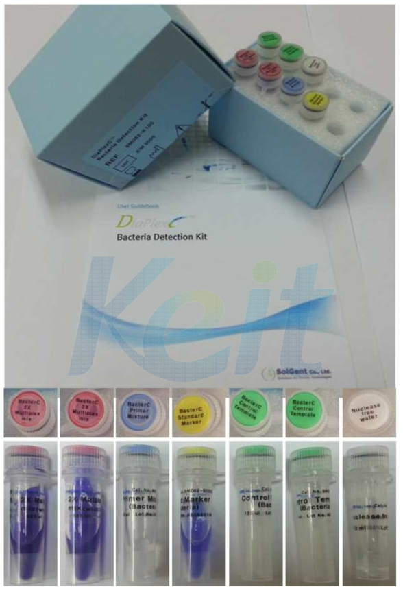 DiaPlexC Bacteria Detection Kit 실물사진