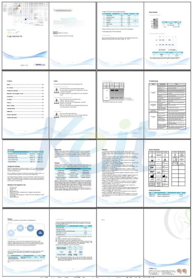 DiaPlexC Fungi Detection Kit 제품사용설명서