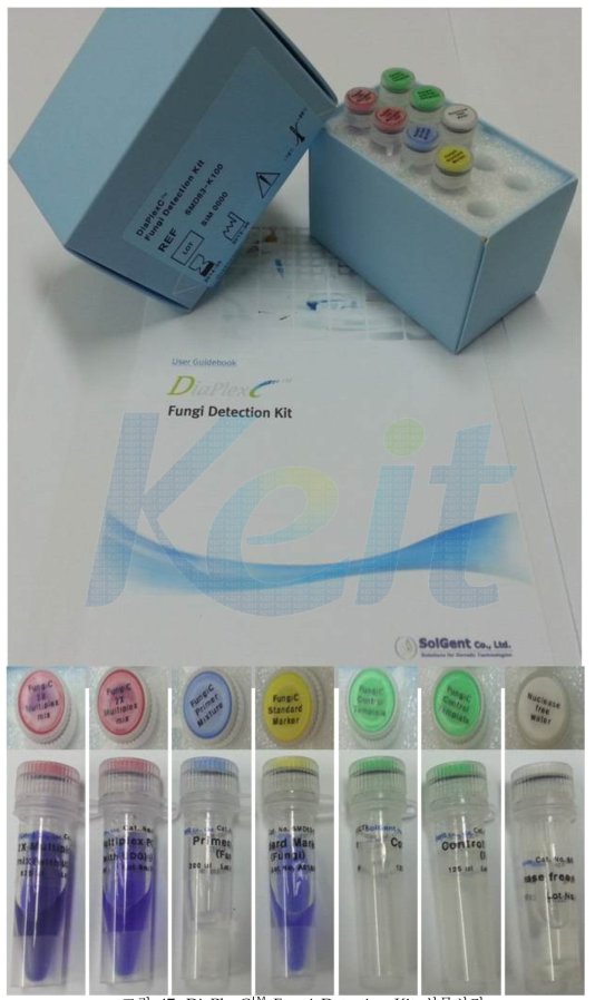 DiaPlexC Fungi Detection Kit 실물사진