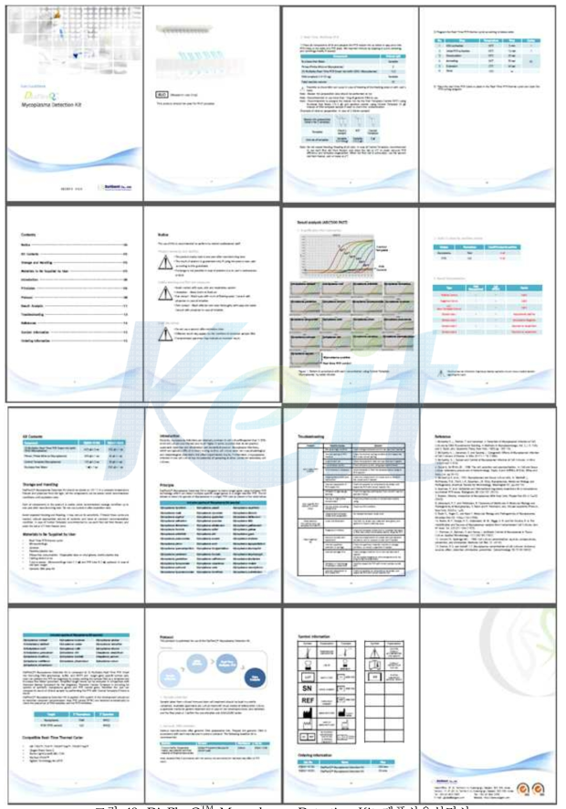 DiaPlexQ Mycoplasma Detection Kit 제품사용설명서