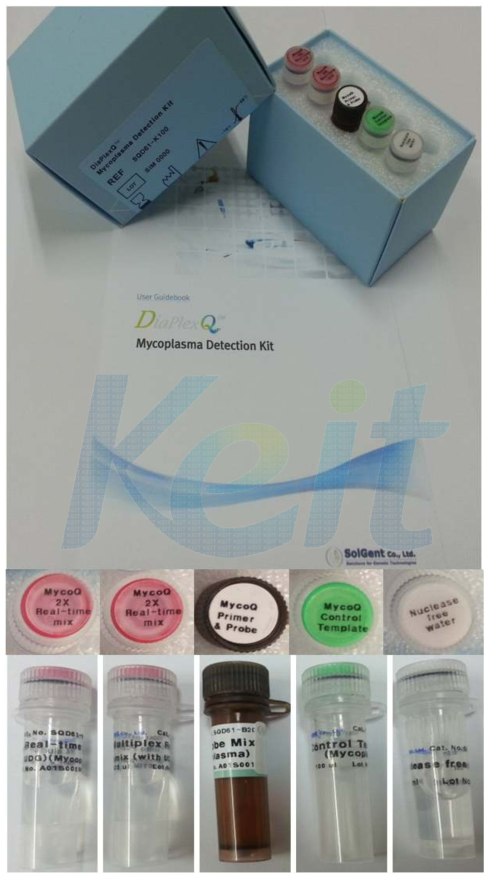 DiaPlexQ Mycoplasma Detection Kit 의 실물사진