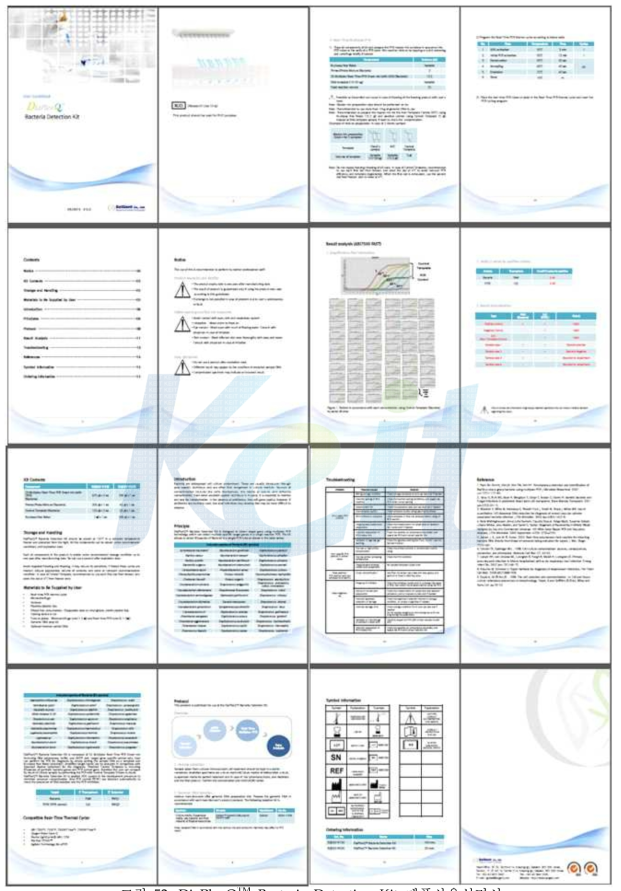 DiaPlexQ Bacteria Detection Kit 제품사용설명서