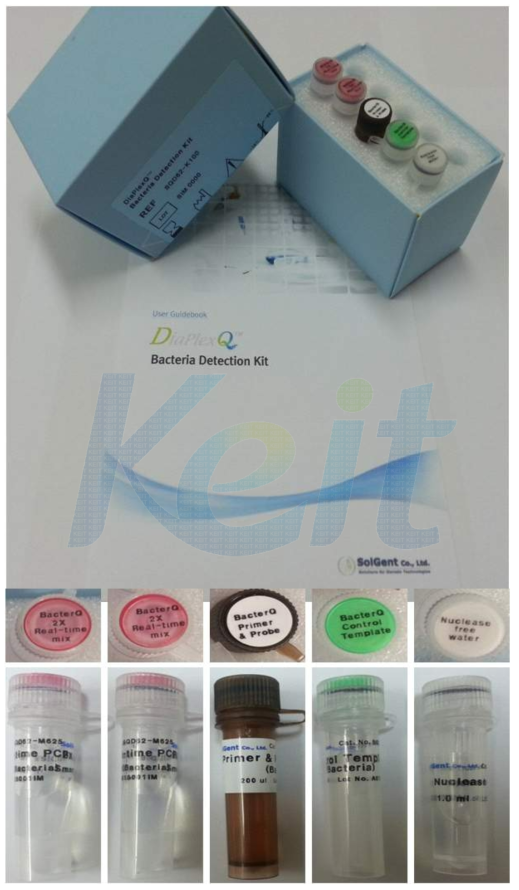 DiaPlexQ Bacteria Detection Kit 의 실물사진