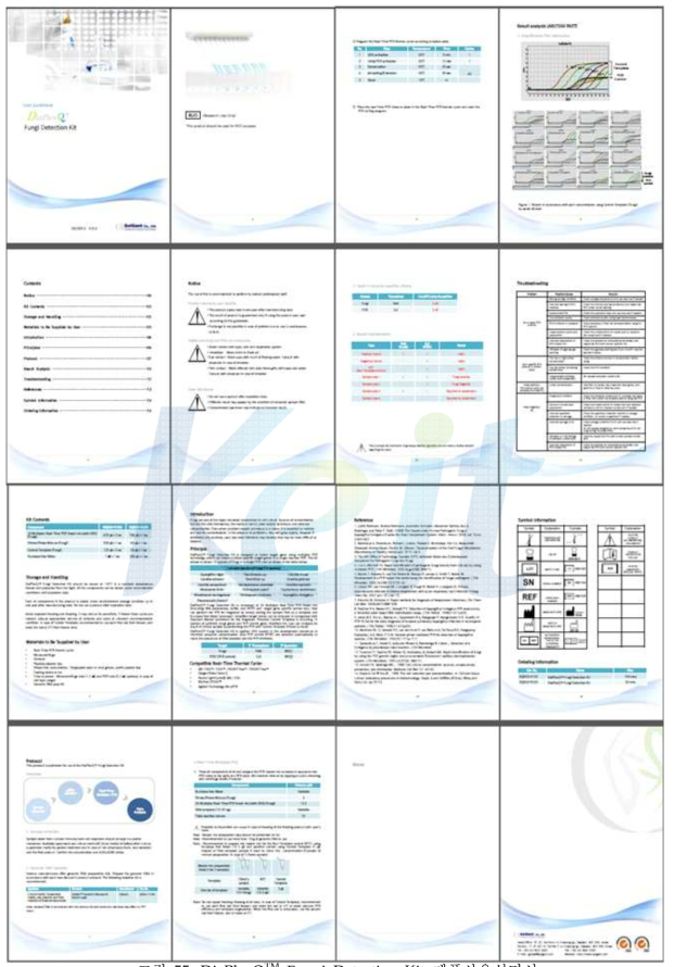 DiaPlexQ Fungi Detection Kit 제품사용설명서