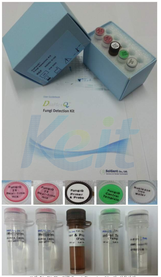 DiaPlexQ Fungi Detection Kit 의 실물사진