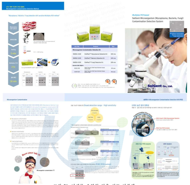 미생물 오염원 검출 키트 리플렛