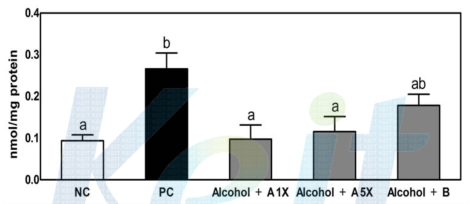 Effects of beverage supplementation on hepatic ADH(Alcohol dehydrogenase) enzymes in rats fed alcohol diet.