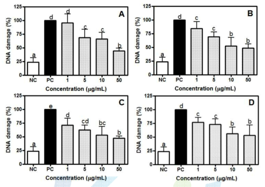 Effect of supplementation in vitro with different concentrations of Samples on 200 μM H2O2 induced DNA damage in human leukocytes