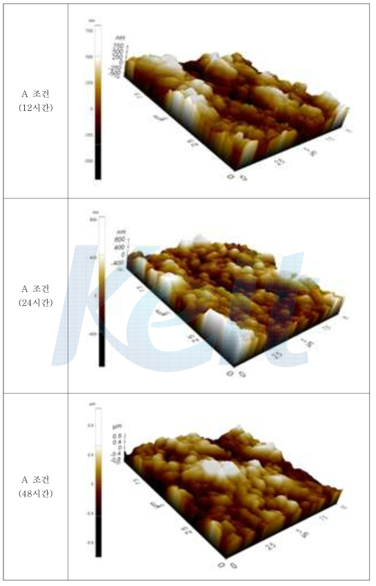 에칭후 표면 AFM (A 조건, 불산 : 염산 = 6 : 4)