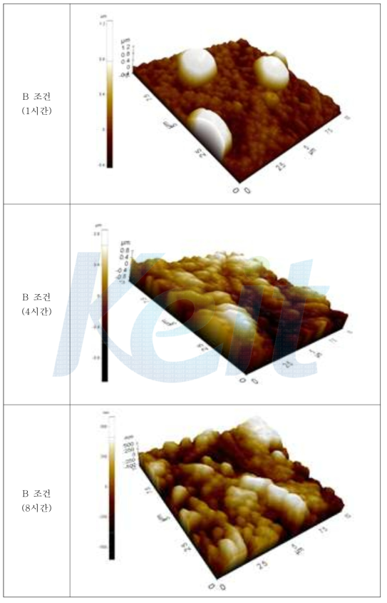 에칭후 표면 AFM (B 조건, 불산 : 염산 = 5 : 5)