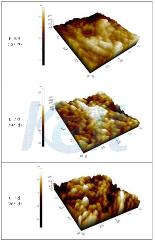 에칭후 표면 AFM (B 조건, 불산 : 염산 = 5 : 5)