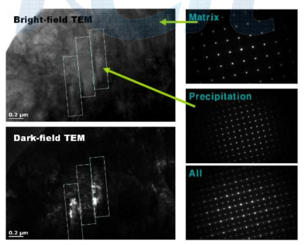 기지조직과 Bar를 분석한 TEM 사진
