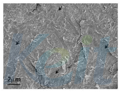 파단면 SEM 사진