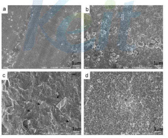 Autoclave 처리전 용융지르코니아(a), 다결정(b), Autoclave 처리후 단결정(c), 다결정(d) SEM 사진