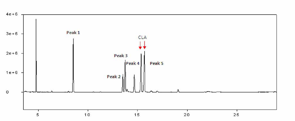 GC chromatogram of product