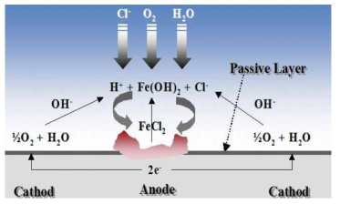철근의 부식전지작용