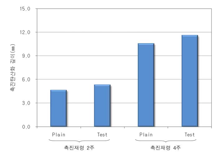 콘크리트 촉진탄산화 깊이