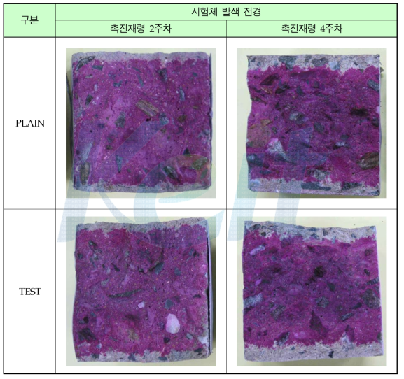콘크리트 촉진탄산화 깊이 시험 결과