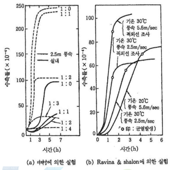 모르타르의 초기 건조 수축