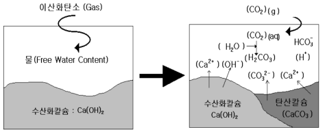 화학조성변화에 따른 탄산화 개요도