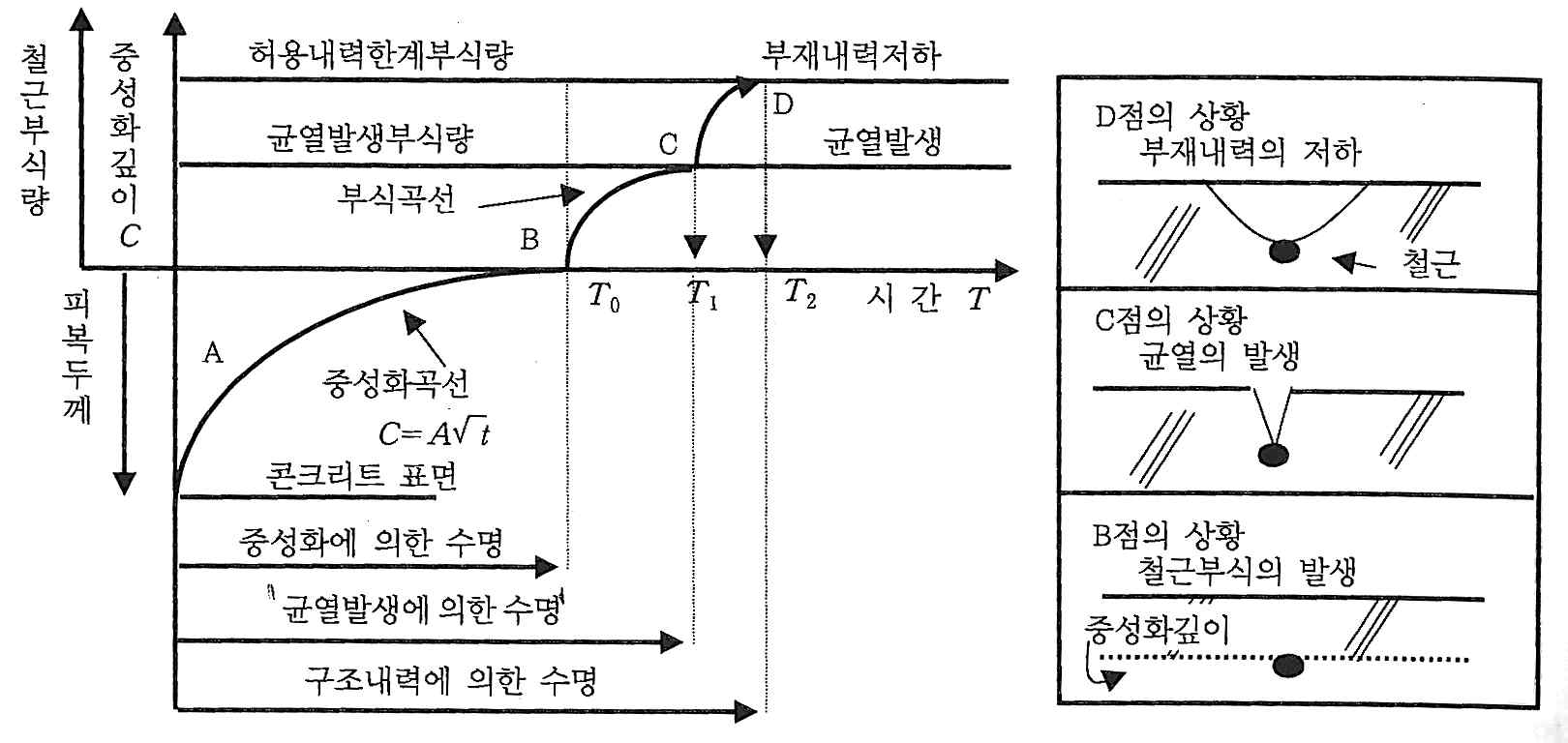 탄산화의 진행 및 철근부식에 따른 구조물의 수명