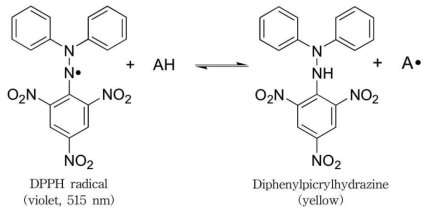 항산화 방법 중 DPPH radical 소거능의 원리