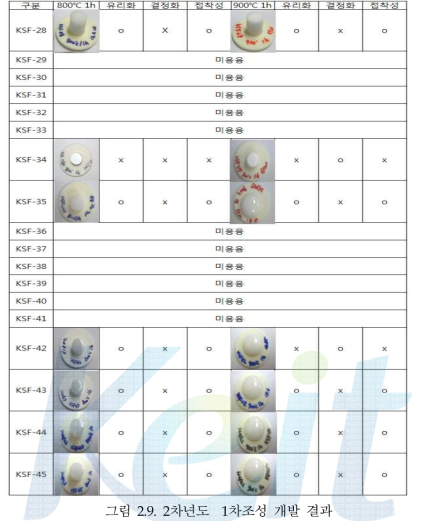 2차년도 1차조성 개발 결과