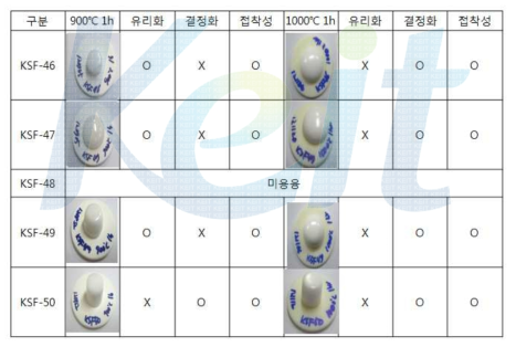 2차년도 2차조성 개발 결과