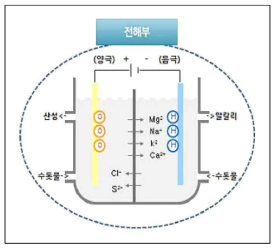 전기분해를 통한 이온수 생성 원리