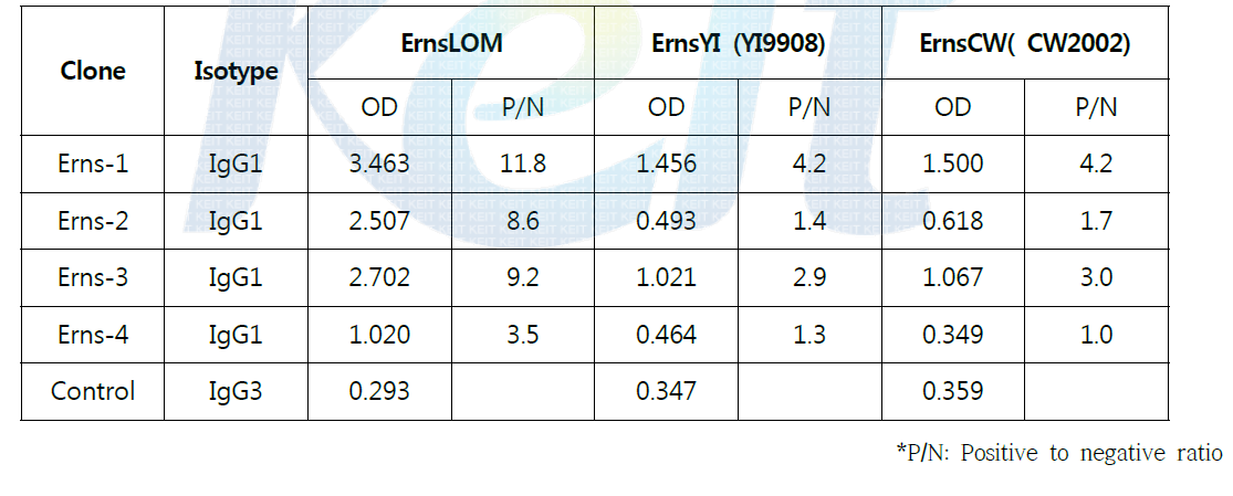 CSFV Erns 단클론항체 선발