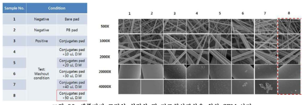 샘플버퍼 로딩양 최적화 및 건조현상관찰을 위한 SEM 사진