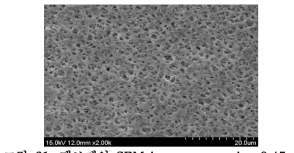 멤브레인 SEM image: pore size 0.45㎛