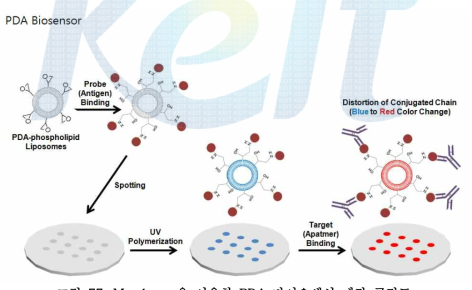 Membrane을 이용한 PDA 바이오센서 제작 공정도